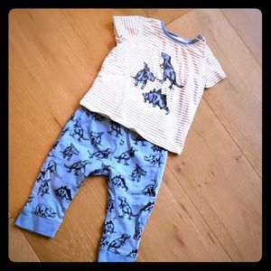 Dinosaur matching set